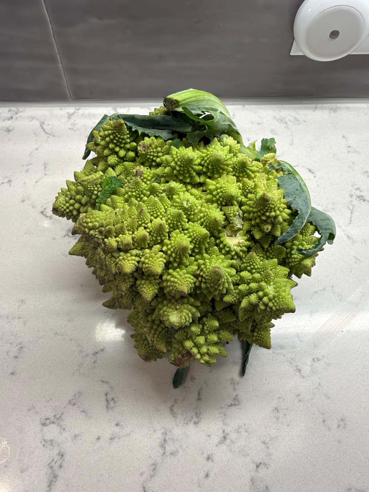 Mediterranean romanesco plate, aka papdi chaat, step photo 5